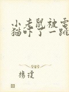 小老鼠被电脑的猫吓了一跳看图写话