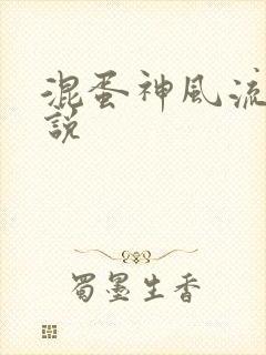 混蛋神风流史小说