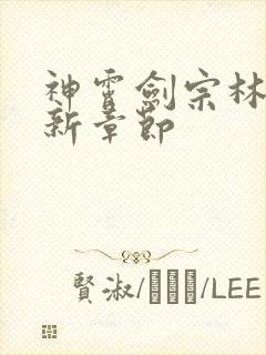 神霄剑宗林枫最新章节