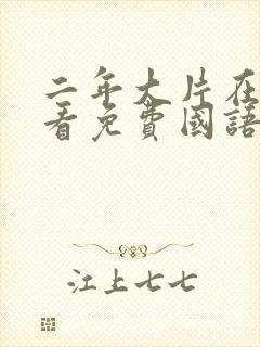 二年大片在线观看免费国语版