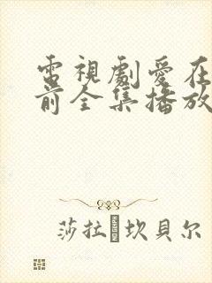 电视剧爱在日落前全集播放封面