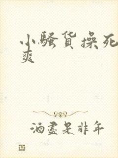 小骚货操死你好爽封面