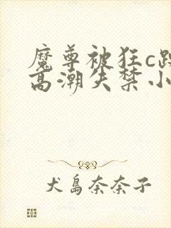 魔尊被狂c躁到高潮失禁小说