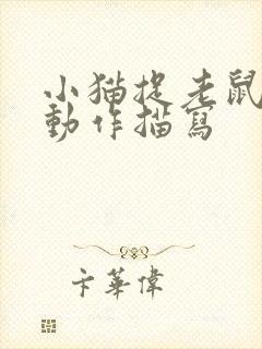 小猫捉老鼠时的动作描写