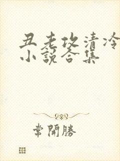 丑老攻清冷美人小说合集