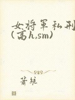 女将军私刑凌虐(高h,sm)