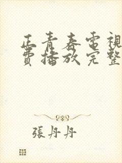 正青春电视剧免费播放完整版19集