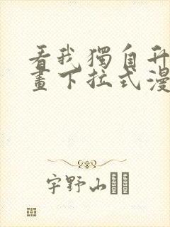 看我独自升级漫画下拉式漫画