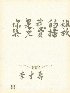 你是我的姐妹全集免费播放电视剧封面