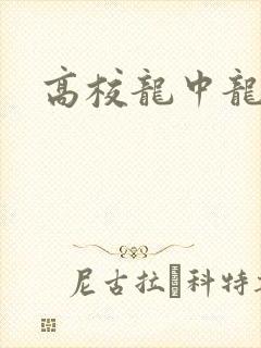 高校龙中龙