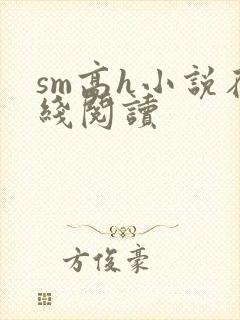 sm高h小说在线阅读