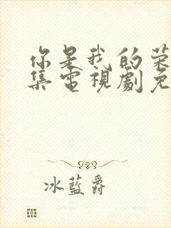 你是我的荣耀全集电视剧免费观看封面