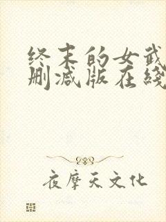 终末的女武神未删减版在线观看封面