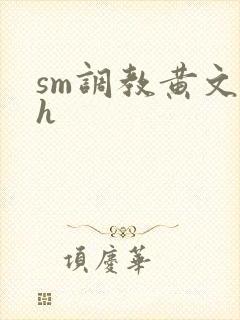 sm调教黄文高h封面