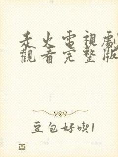 走火电视剧免费观看完整版高清全集封面