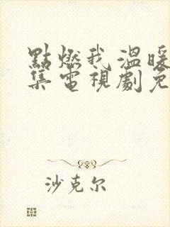 点燃我温暖你9集电视剧免费观看