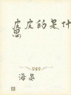 皮皮的是什么意思