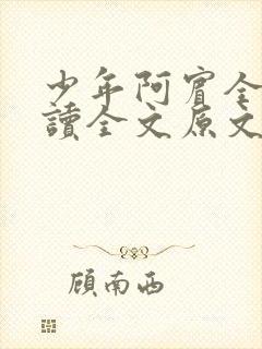 少年阿宾全文阅读全文原文