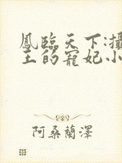 凤临天下:摄政王的宠妃小说小说封面