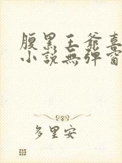 腹黑王爷喜当爹小说无弹窗