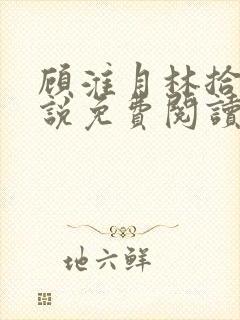 顾淮月林拾安小说免费阅读最新章节