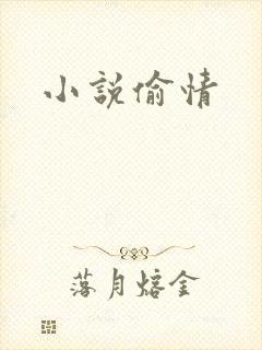 小说偷情