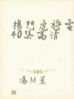 杨门虎将电视剧40集高清