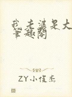 我老婆是大明星笔趣阁