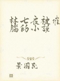 林七夜被催眠洗脑的小说