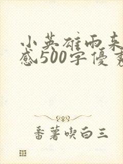 小英雄雨来读后感500字优秀