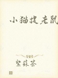 小猫捉老鼠的