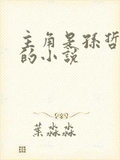 主角是孙哲叶巧的小说