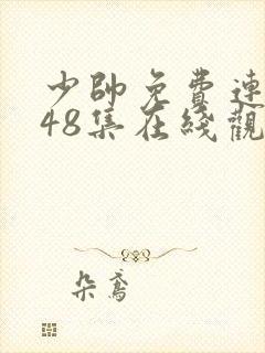 少帅免费连续剧48集在线观看高清