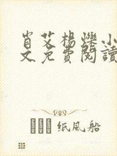 肖艾杨烁小说全文免费阅读笔趣阁