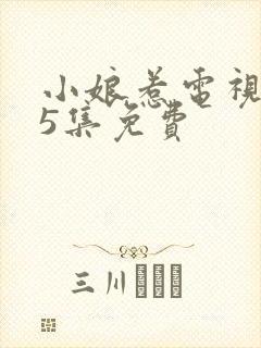 小娘惹电视剧45集免费