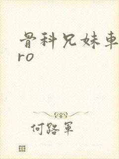 骨科兄妹车多pro