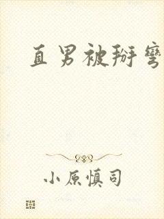 直男被掰弯小说