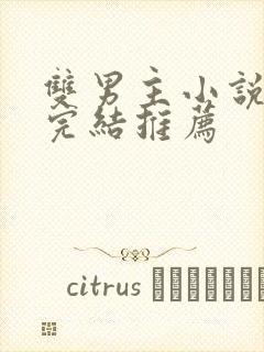 双男主小说甜文完结推荐