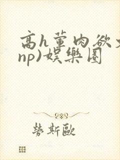 高h荤肉欲文(np)娱乐圈