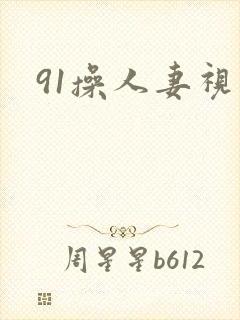 91操人妻视频