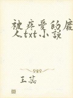 被疼爱的废物美人txt小说