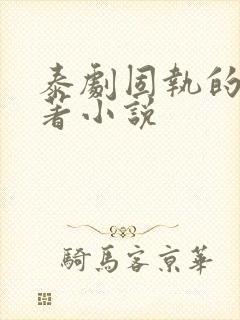 泰剧固执的爱原著小说