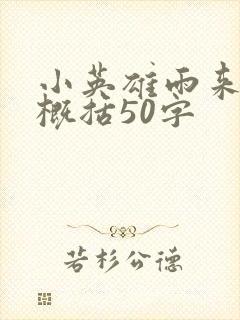 小英雄雨来全书概括50字