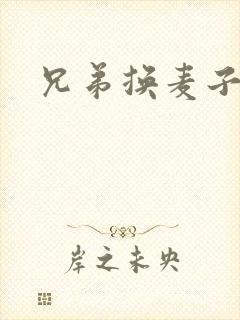 兄弟换麦子4封面