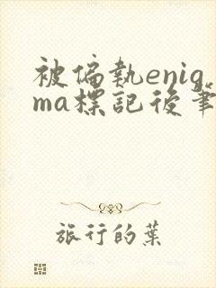 被偏执enigma标记后笔趣阁