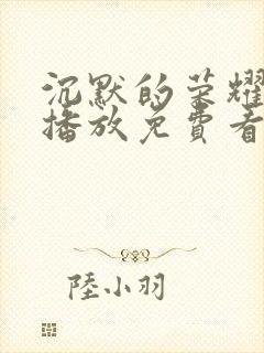 沉默的荣耀免费播放免费看