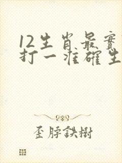 12生肖最实际打一准确生肖