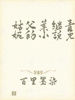 姑父叶继青和文婉的小说免费阅读