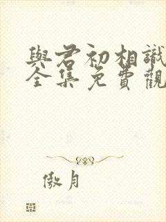 与君初相识高清全集免费观看