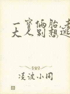 一宝俩胎,老婆大人别想逃